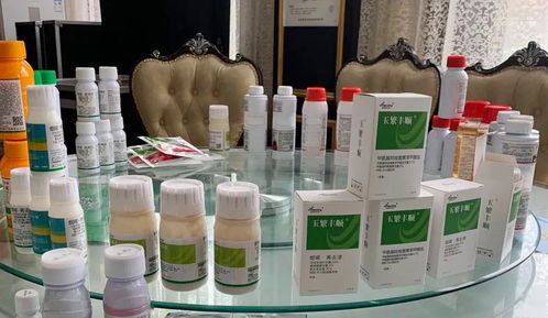 專業(yè)方案,更優(yōu)選擇 河南瀚斯夏季除草劑產(chǎn)品技術(shù)培訓(xùn)會山東曹縣專場圓滿召開