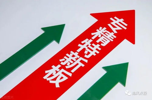 專精特新 崛起 16家績優(yōu) 小巨人 獲機構扎堆關注